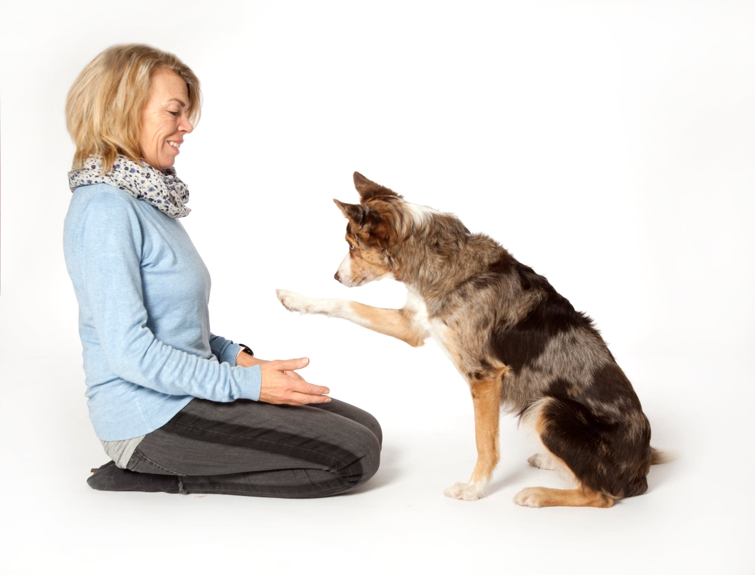 Enetimer - kvalitetstid for dig og din hund