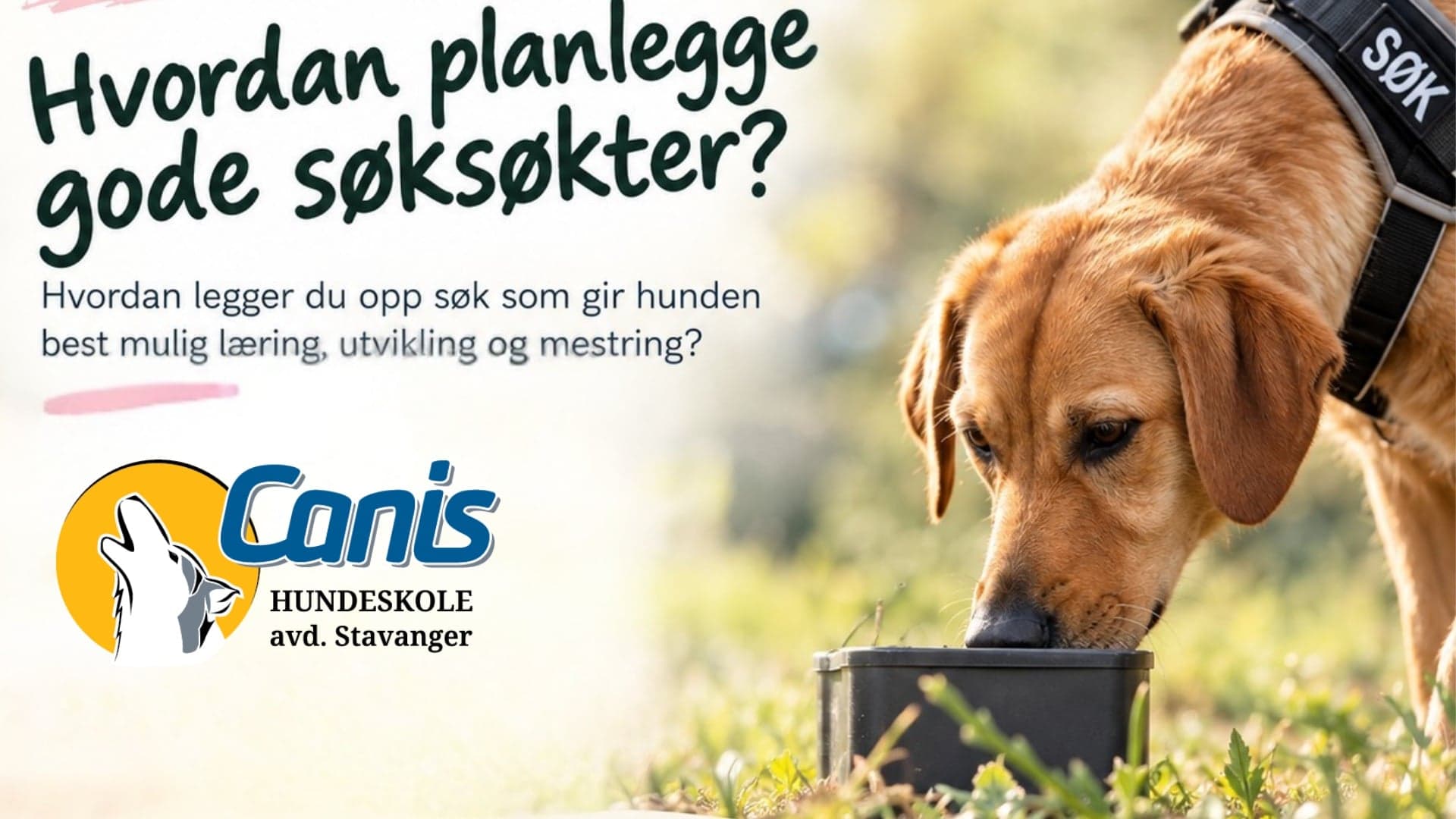  TEMAKVELD: Hvordan planlegge gode søksøkter? 🔎