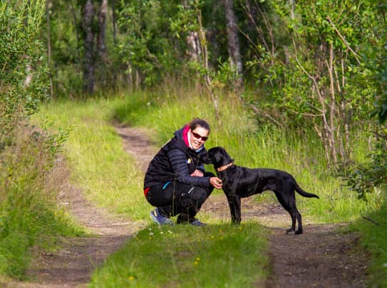 Privat lektion med hundförare Julie Bya