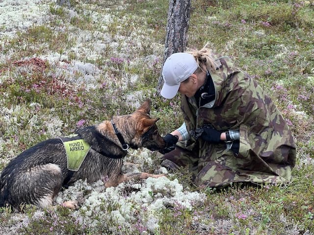 Canis ClickerCamp – Dag 1