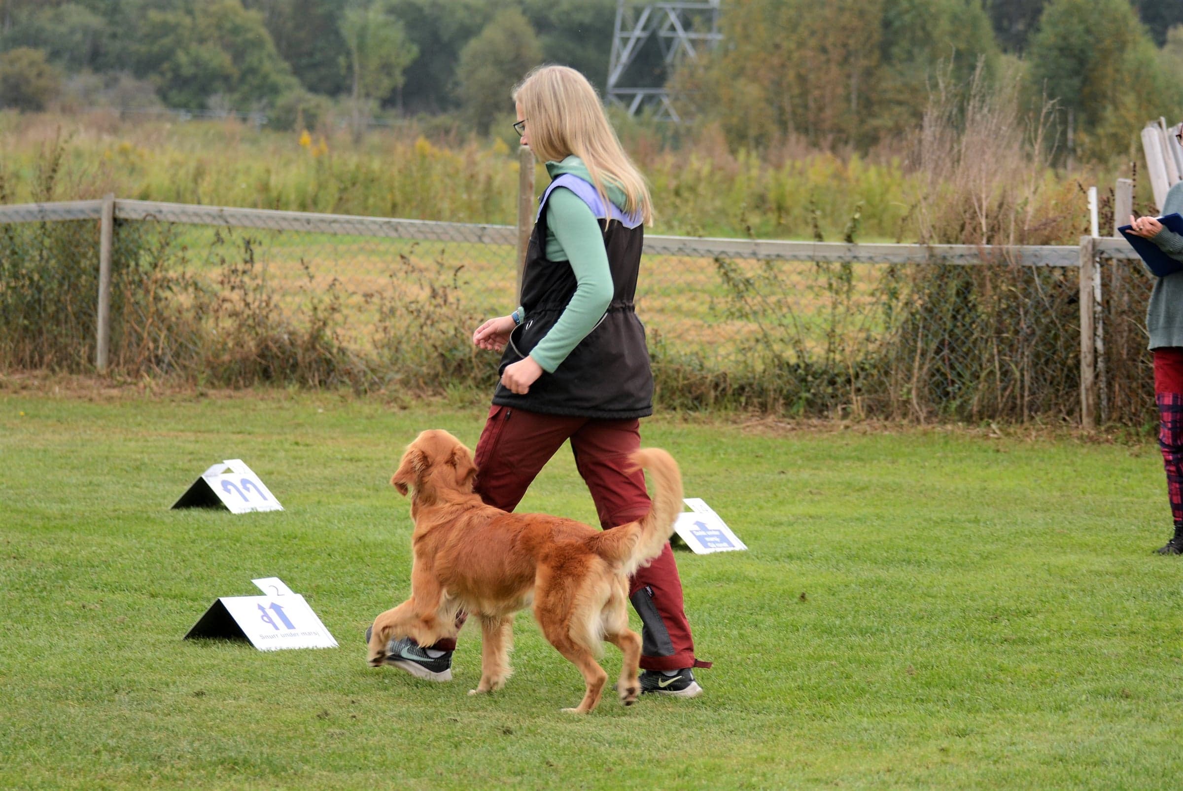 Hundetrening, rallylydighet, grunnferdigheter, Tilja og Marianne, hundetrener 