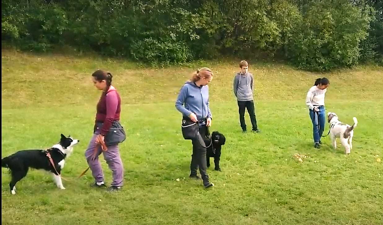 Gå pent i bånd og passering – krydret med artig aktivisering!