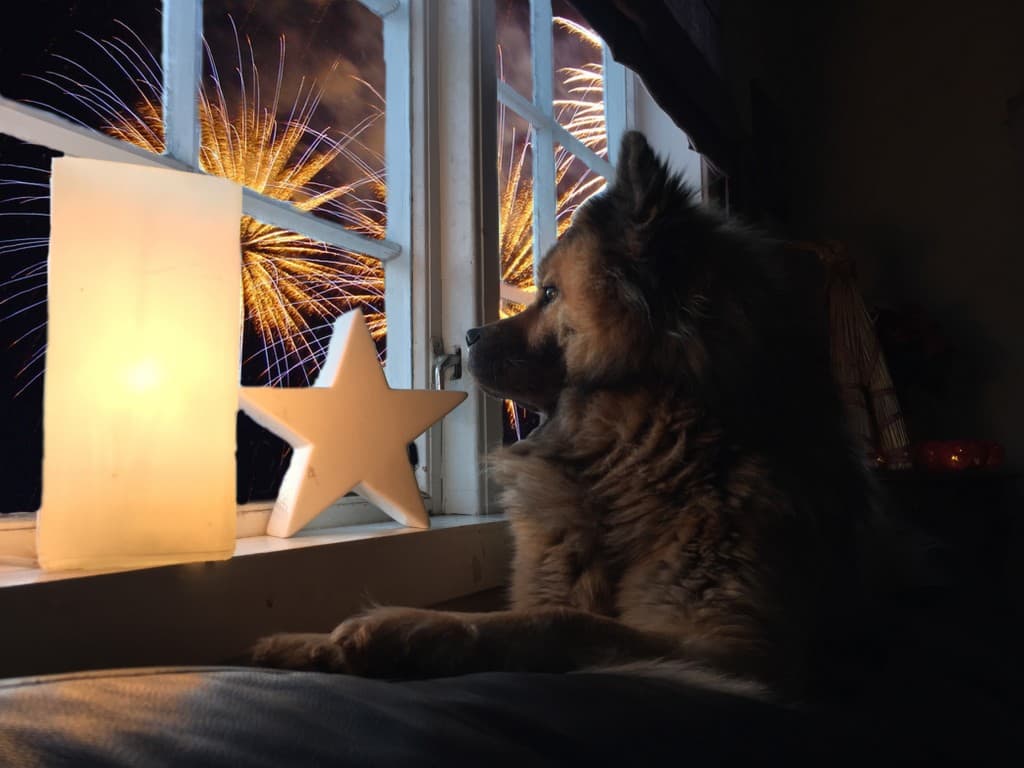 Nyttårsfeiring med feromoner og thundershirt