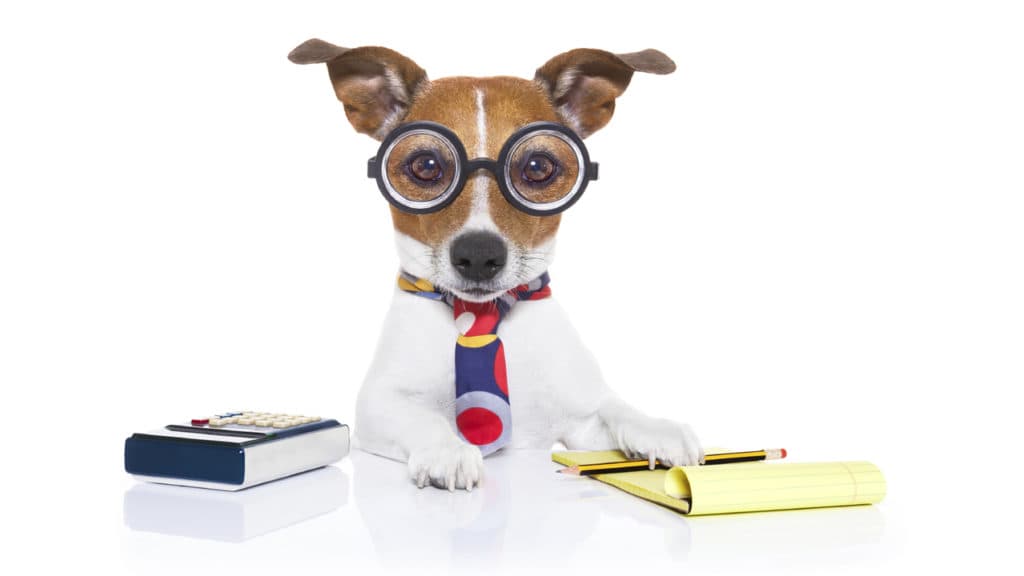 Vitenskapelig hundetrening?
