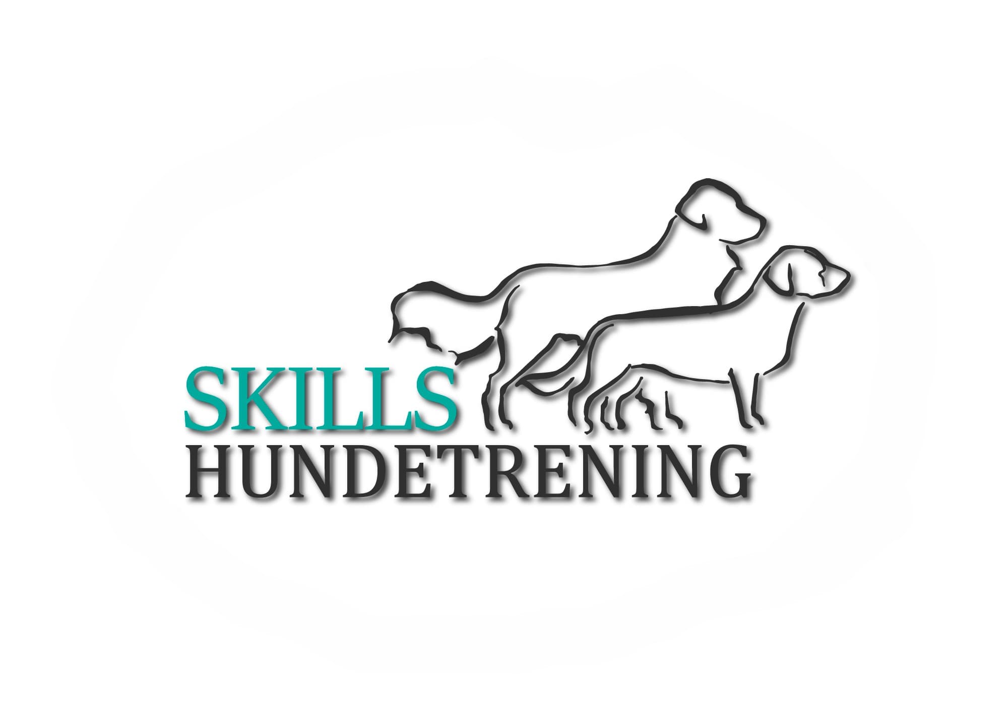 Skills Hundetrening (Telemark)