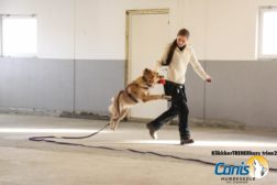 KlikkerTRENERkurs trinn 2