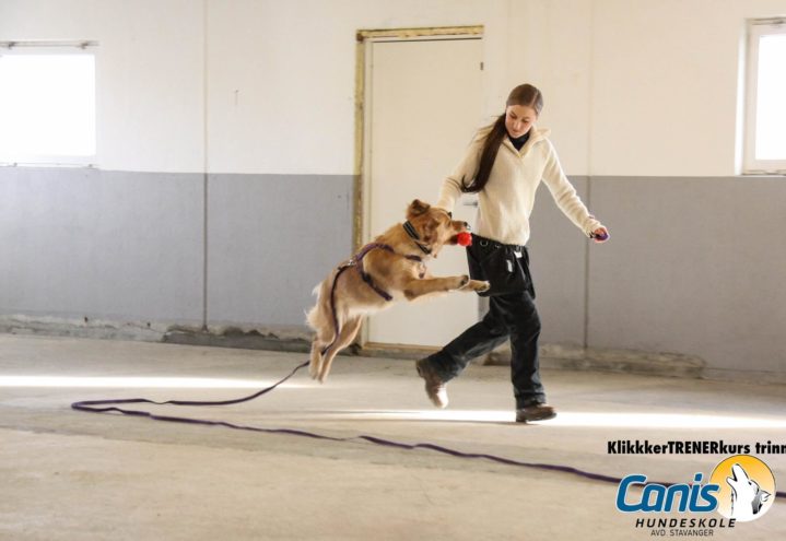 KlikkerTRENERkurs trinn 2