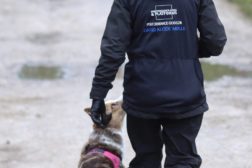 Eftersøgnins-weekend den 17. og 18. oktober 2026