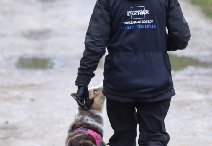 Eftersøgnins-weekend den 17. og 18. oktober 2026