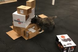 Nosework- Emballasje