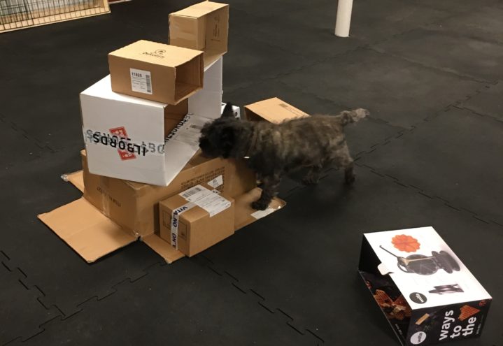 Nosework- Emballasje