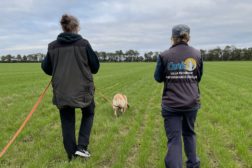 Spor kursus – 3 søndage – januar til marts 26