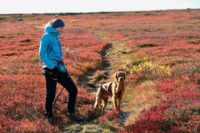 Tori Solberg Halvorsen