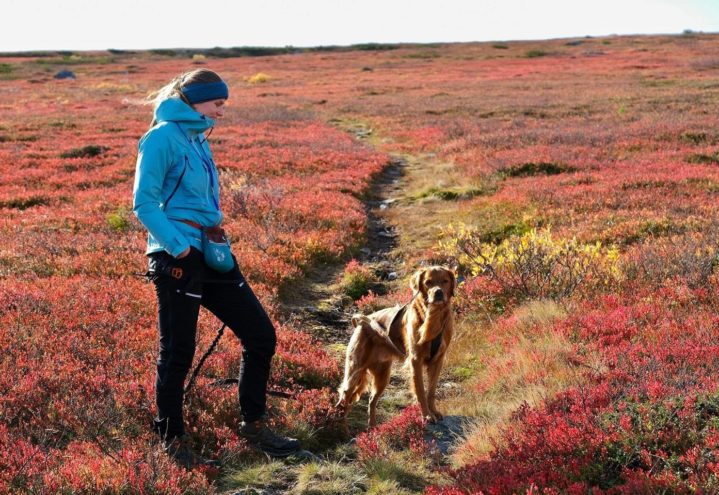Tori Solberg Halvorsen