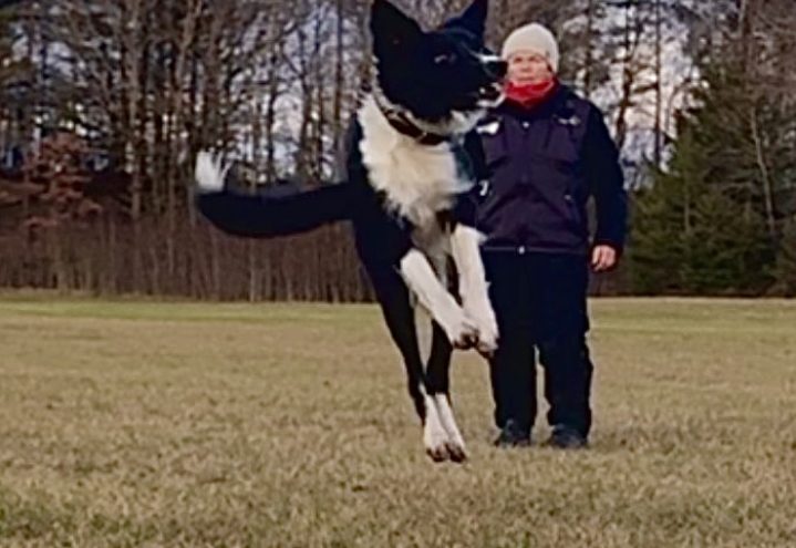 Tema dag – Fremadsendelse Påsken 2026