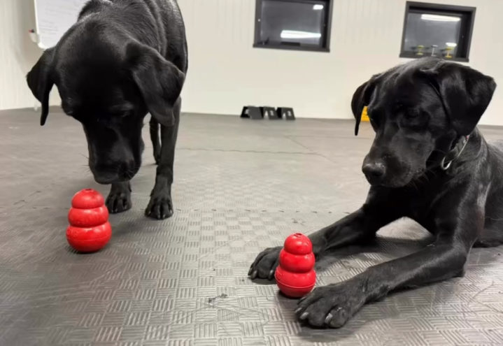 Helgekurs i markering med SBK instruktør Carin Josefsson