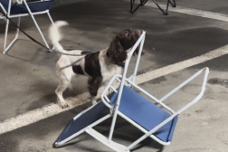 INTROKURS I SPESIALSØK (NSO) – MORFJORDEN