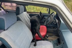 Sommercamp i spesialsøk i Harstad