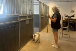 Videregående spesialsøkskurs – prøveformen Norsk spesialsøksorganisasjon (NSO)