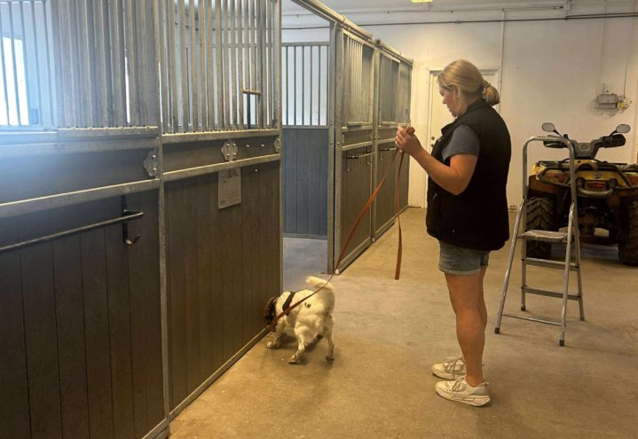 Videregående spesialsøkskurs – prøveformen Norsk spesialsøksorganisasjon (NSO)