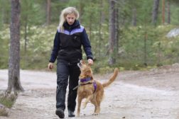 Grunnferdigheter for hundesport trinn 1, torsdager kl. 17.45